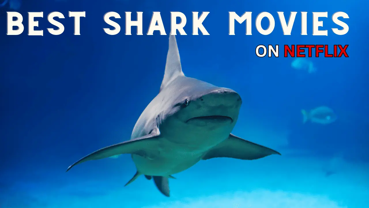 Best Shark Movies on Netflix Top 10 List